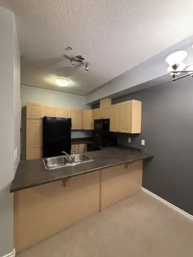 DOWNTOWN 2-BEDROOM CONDO - AVAILABLE IMMEDIATELY | 403 - 10606 102 Ave, Edmonton | 3030782
