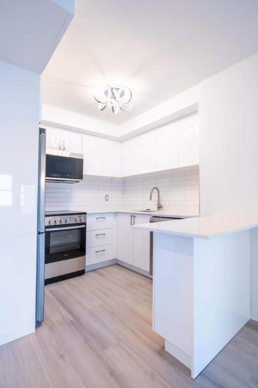 🏙️ Appartement 2 ch| DERNIER MOIS GRATUIT | métro Atwater | 3018085