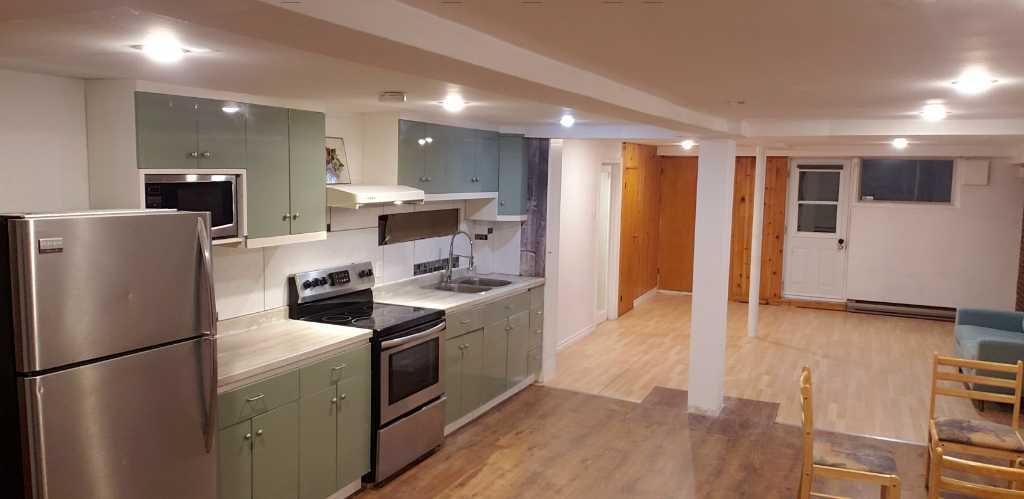 Grand 3 1/2 à louer à Montréal-Nord - Demi sous-sol (Chat accepté) | 3019402