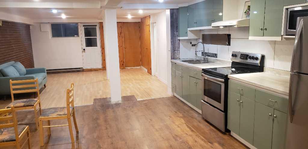 Grand 3 1/2 à louer à Montréal-Nord - Demi sous-sol (Chat accepté) | 3019402