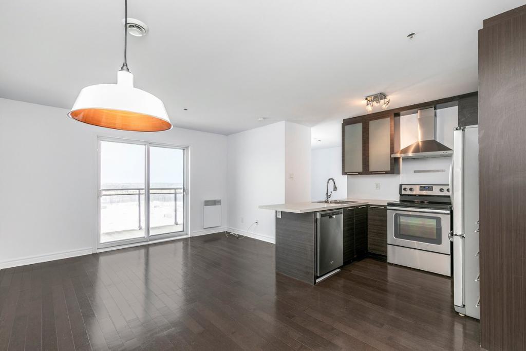Magnifique appartement air ouverte à louer à Laval ! | 3019421