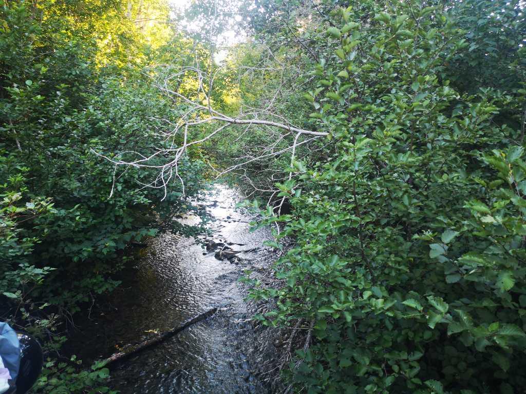 Terrain boise chasse ou chalet avec riviere | 3020155