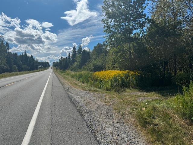 Stornoway, Estrie. Belle terre à bois de 156 acres directement sur la Route 108. Exce | 3030568