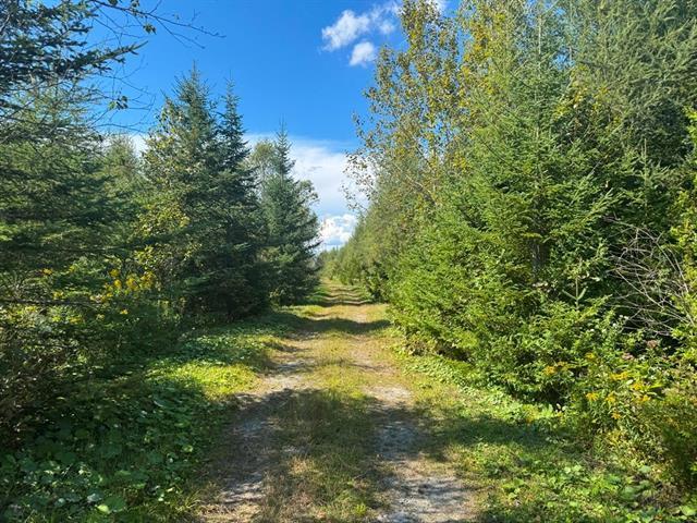 Stornoway, Estrie. Belle terre à bois de 156 acres directement sur la Route 108. Exce | 3030568