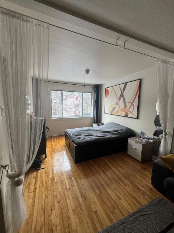 1 CH - 1 SDB - Montréal - $1,530 /mo | 3020666