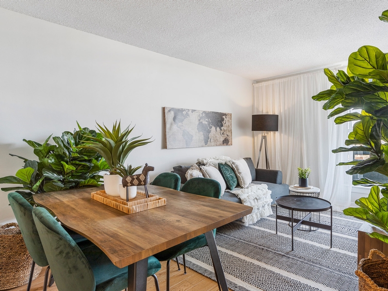 St. Laurent Boulevard | 3029863