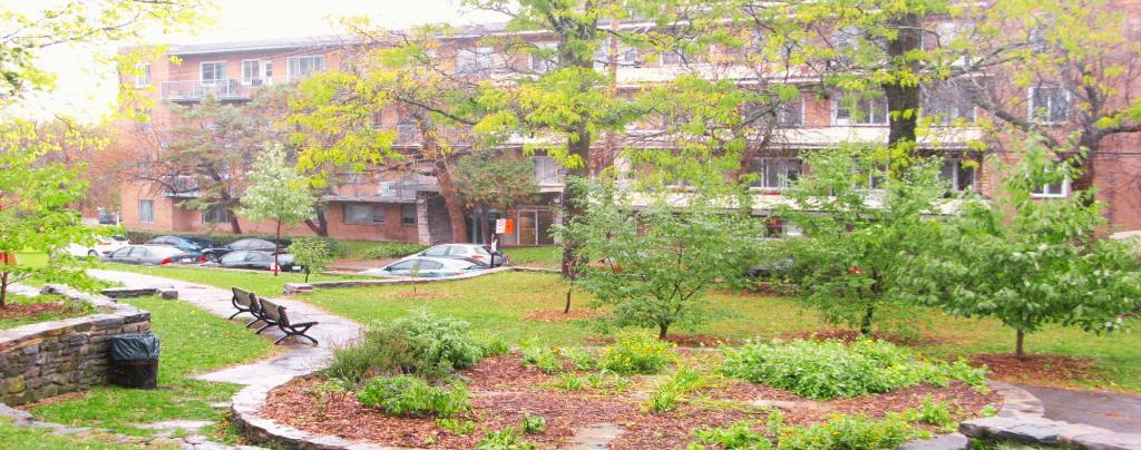 GRAND 4 1/2 PLACE DARLINGTON CARTIER Côte-des-Neiges | 3023569