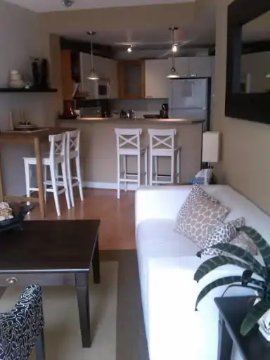 Fully Furnished 1 bedroom in Mission (Xolo) | 315 24th Ave S.W., Calgary | 3023885