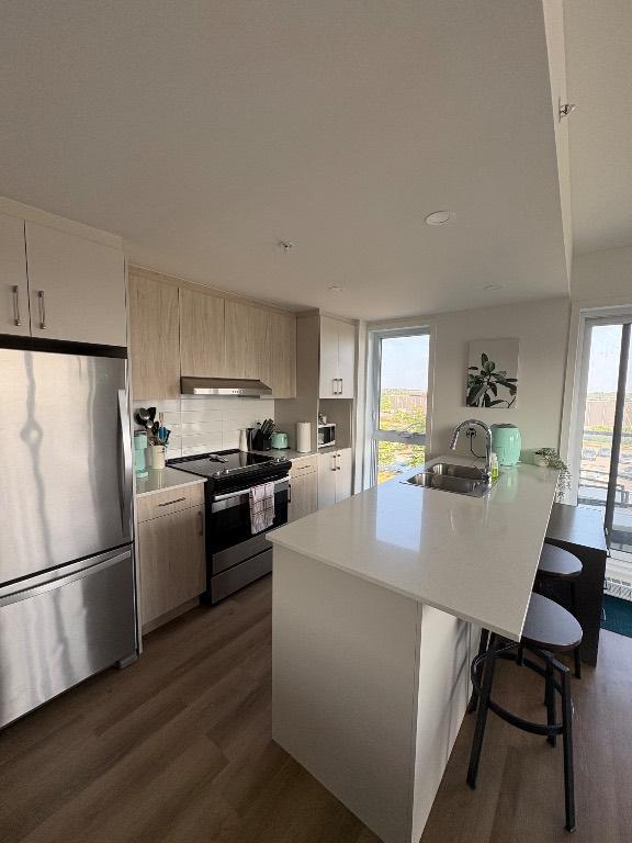 Condo de luxe 4 1/2 tout inclus à louer, à Mascouche, 1er décembre 2025 | 3023910