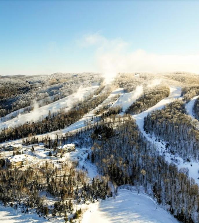 Terrain de 43 000pc à vendre dans les Laurentides | 3024222