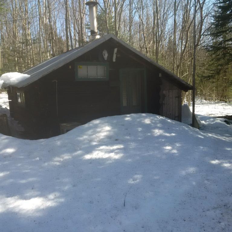 Terre à bois avec potentiel érablière | 3024224