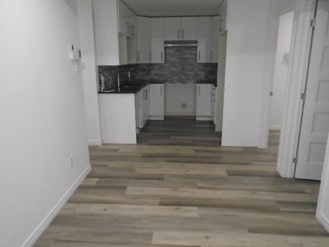 4 ½ rue Drapeau Montréal Nord LIBRE | 3024952