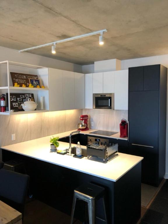 3 1/2 - Montréal (Ville-Marie (Centre-ville)) - 1 700 $/mois | 3024965
