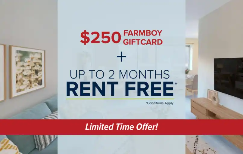 255 Stewart | 255 Stewart Street, Ottawa | 3025067
