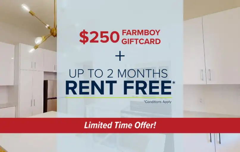 47 & 49 Somerset | 47 & 49 Somerset Street West, Ottawa | 3025083