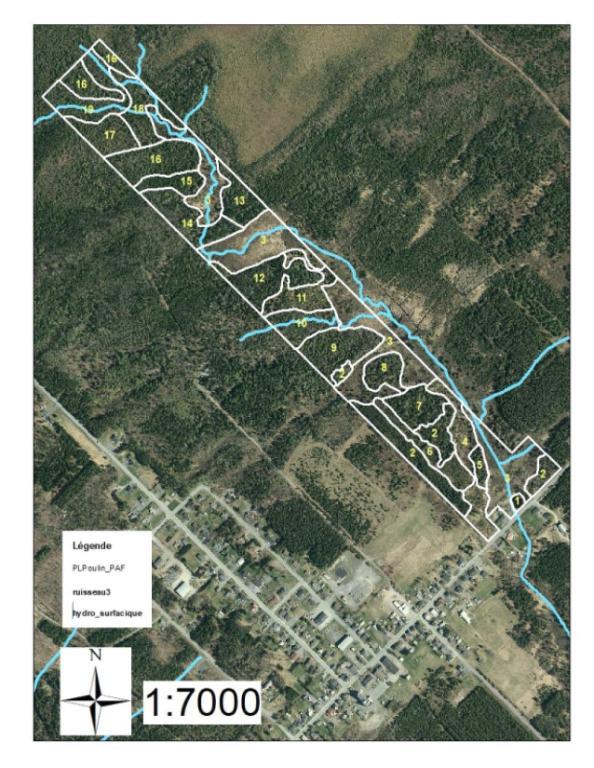 Terrain 84 acre St-Cyprien de Bellechasse | 3025314