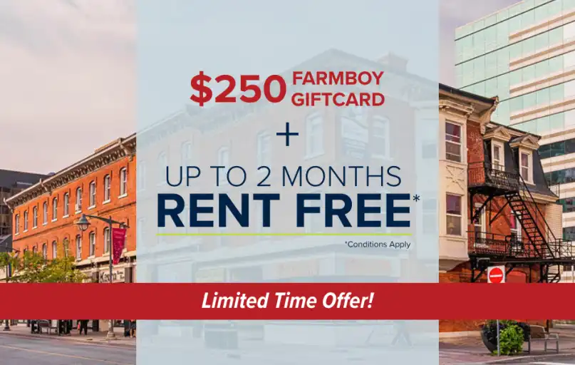212 ½ - 216 ½ Bank | 212 1/2 & 216 1/2 Bank Street, Ottawa | 3025355