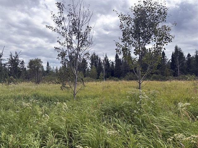 Ste-Praxède, Chaudière-Appalaches. Grand terrain de 46 450 pi.ca. en zonage BLANC, route asphaltée devant, venez y construire votre projet! | 3025768