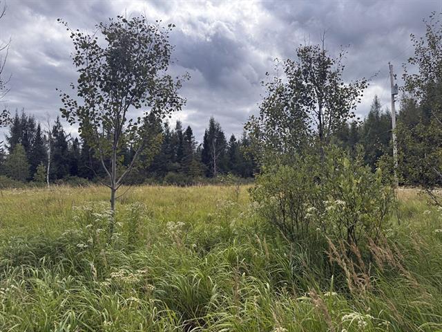 Ste-Praxède, Chaudière-Appalaches. Grand terrain de 46 450 pi.ca. en zonage BLANC, route asphaltée devant, venez y construire votre projet! | 3025768