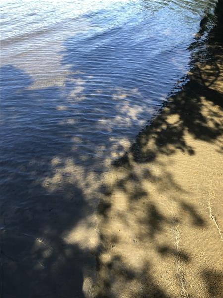 Patterson Lake Cottage | 3030192