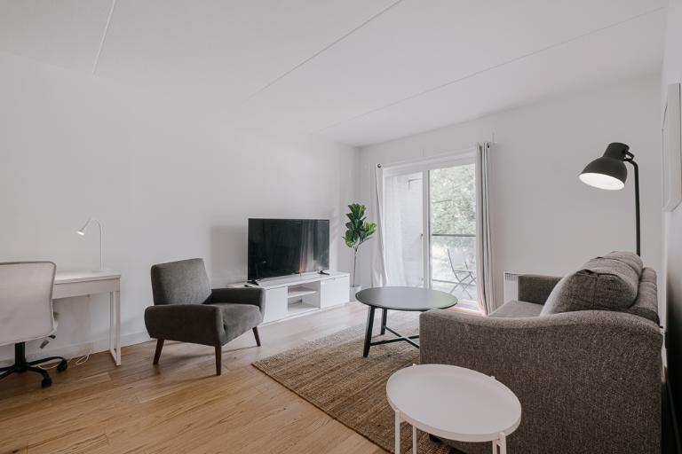 3 ½ entièrement meublé à louer Sainte-Foy / Sillery novembre 2025 | 3181903