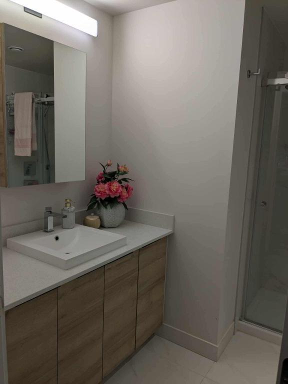 🏠Magnifique 3 1/2 à louer – Dernier étage de l'Espace Montmorency | 3030547