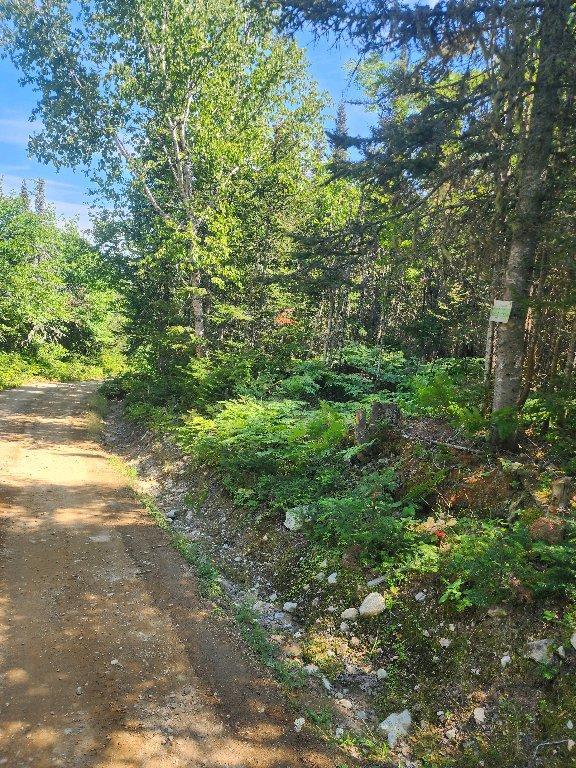 Lot forestier 55ha | 3030566
