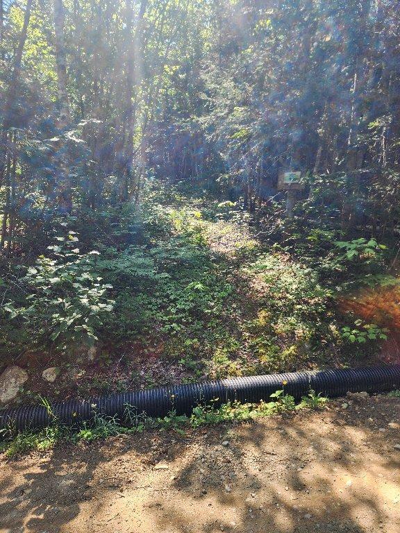 Lot forestier 55ha | 3030566