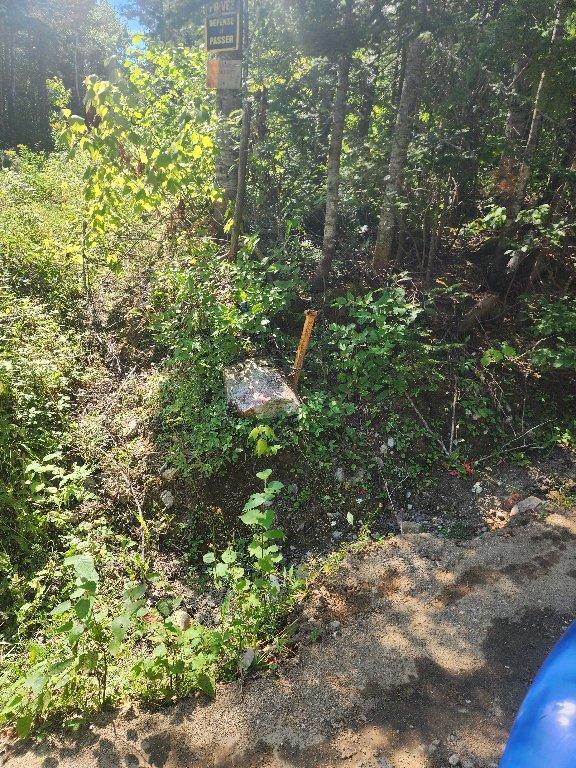 Lot forestier 55ha | 3030566