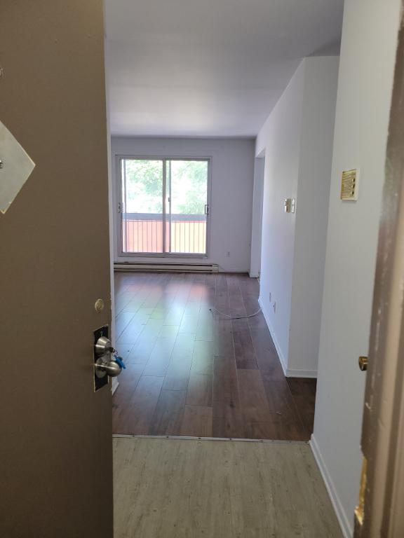 TRÈS JOLIE 4 1/2 ENSOLEILLÉ | 3032140