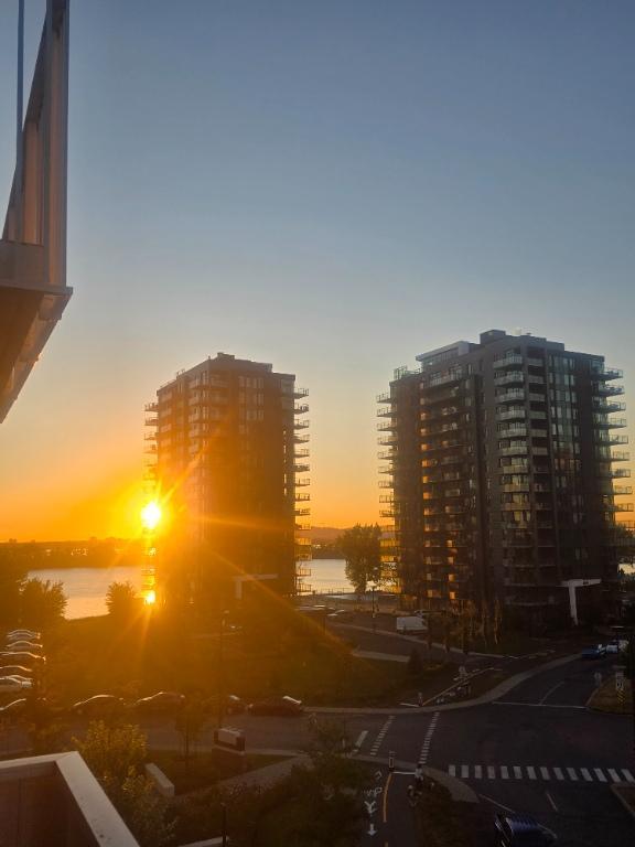 Magnifique 3 1/2, vue sur le fleuve St-Laurent - Disponible le 1er octobre | 3032161