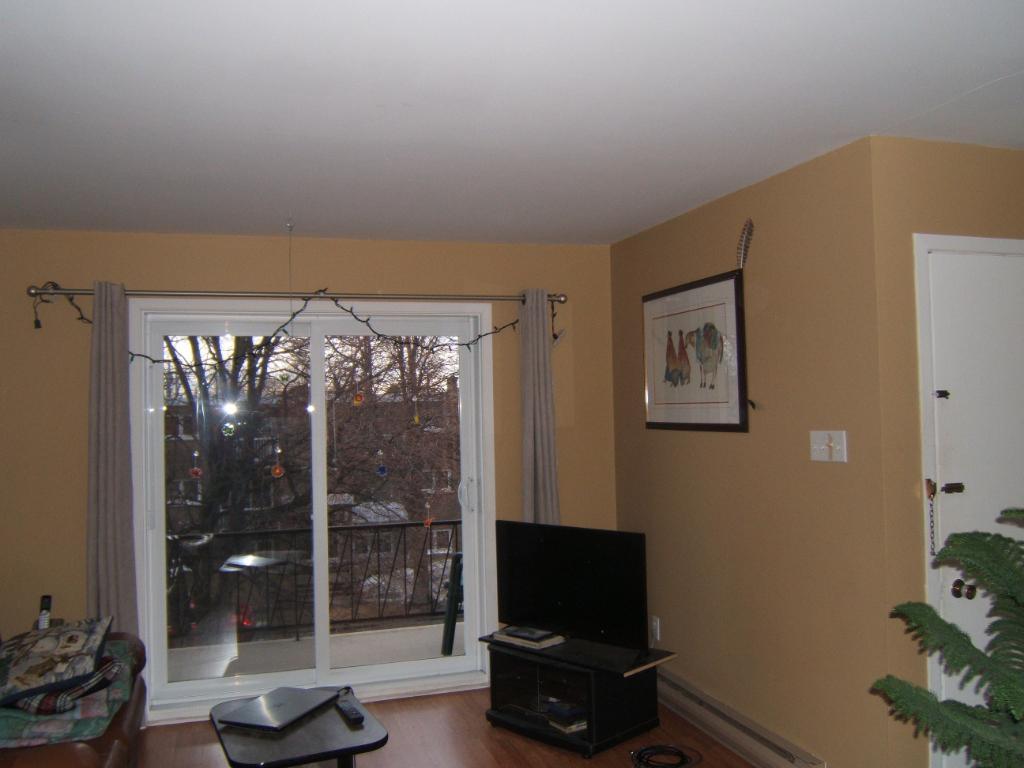Grand 5 1/2 pieces rue Decelles a St- Haycinthe, libre pour le 1 er Décembre 2025 | 3033964