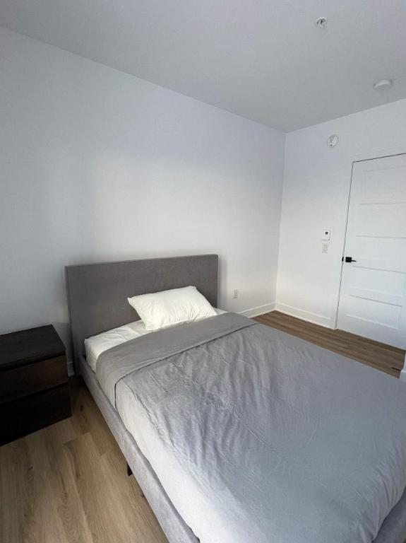 Neuf 5 1/2, électros et internet inclus! 6180 Vanier | 3034323