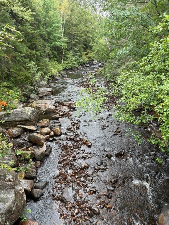 Terrain sur ruisseau | 3050770