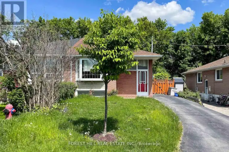 MAIN - 179 SEPTONNE AVENUE | MAIN - 179 SEPTONNE AVENUE, Newmarket | 3035412