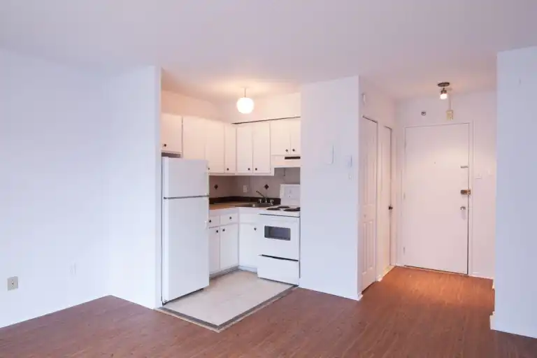 1595 Rachel | 1595 Rachel, Montreal | 3035736