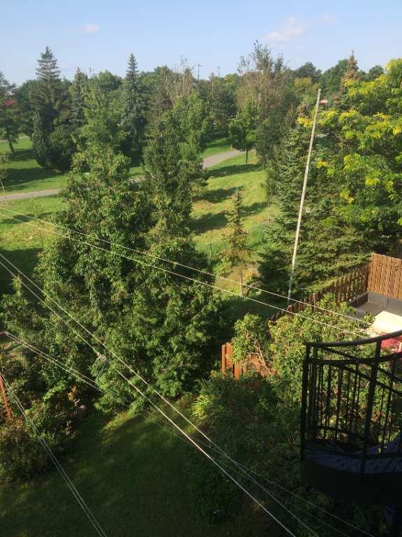 Rosemont à louer 3 1/2 vue sur le parc | 3036084