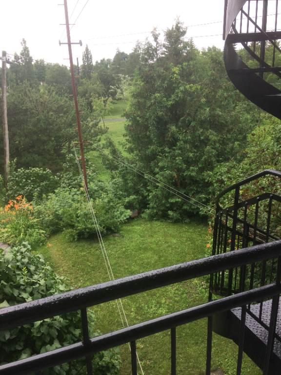 Rosemont à louer 3 1/2 vue sur le parc | 3036084