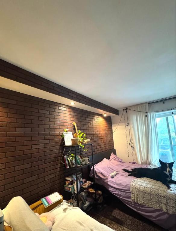 Studio - animaux acceptés - Rosemont | 3037467
