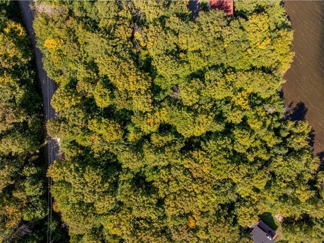 Terrain | 3038214