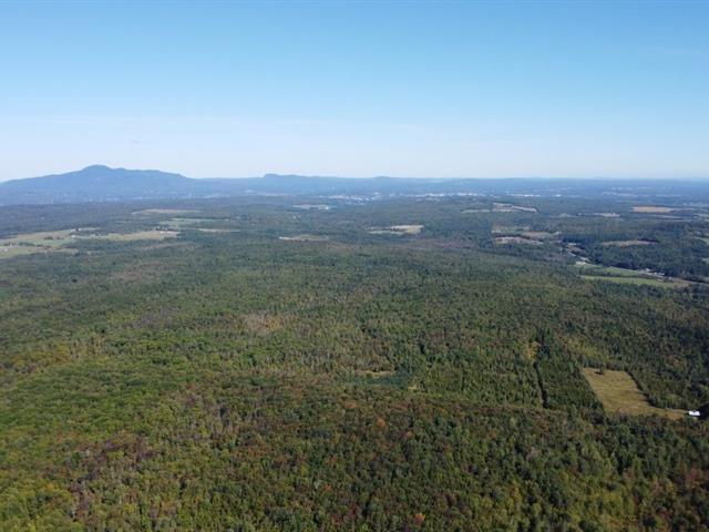 Magog (Estrie) : Terre à bois avec droit de construction | 3047328