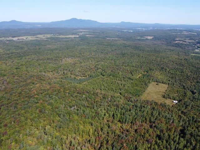Magog (Estrie) : Terre à bois avec droit de construction | 3047328