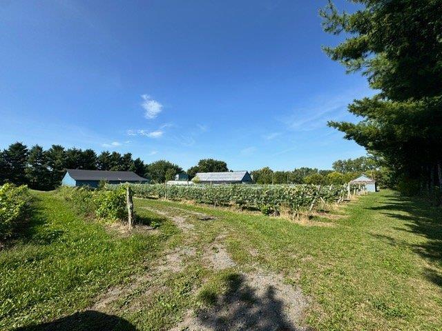 Terre agricole cultivable, vignoble, St-Denis-sur-Richelieu Montérégie | 3042041