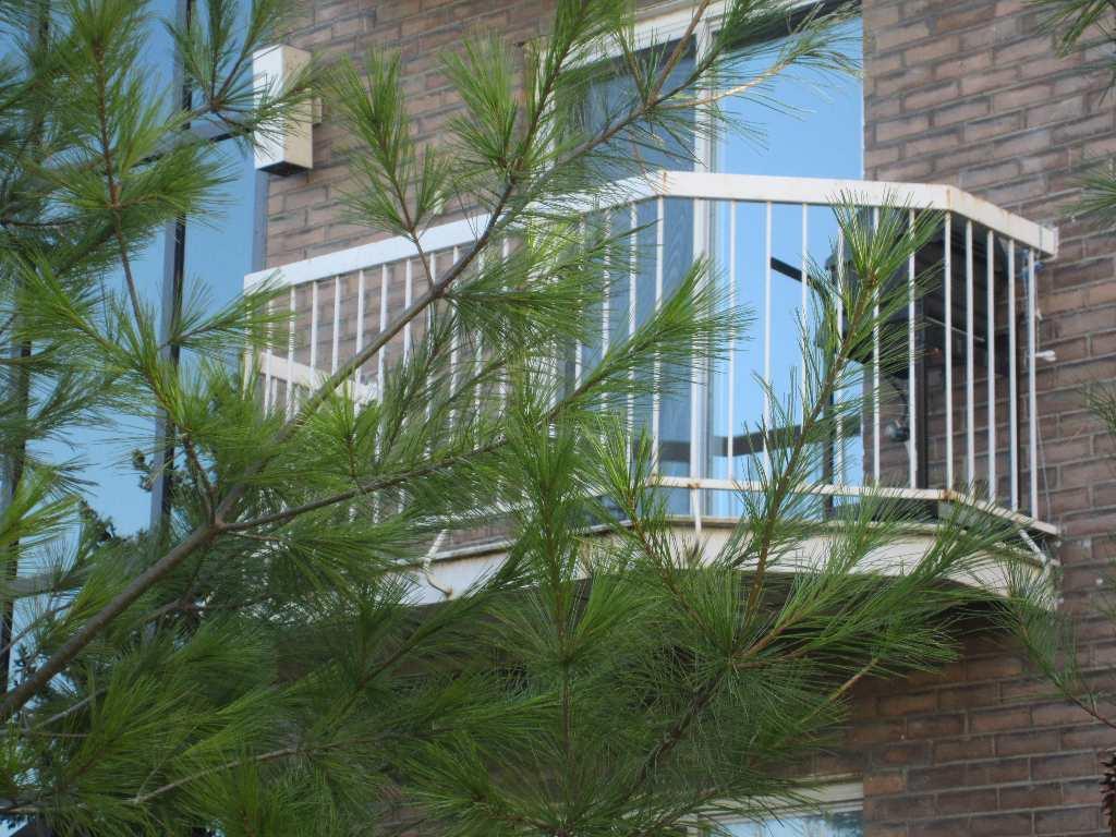 Beau 4 1/2 libre maintenant à Ste-Catherine (rive-sud de Mtl) | 3042347