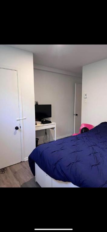 1 CH - 1 SDB - Montréal - $1,595 /mo | 3042360