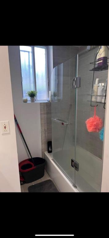 1 CH - 1 SDB - Montréal - $1,595 /mo | 3042360