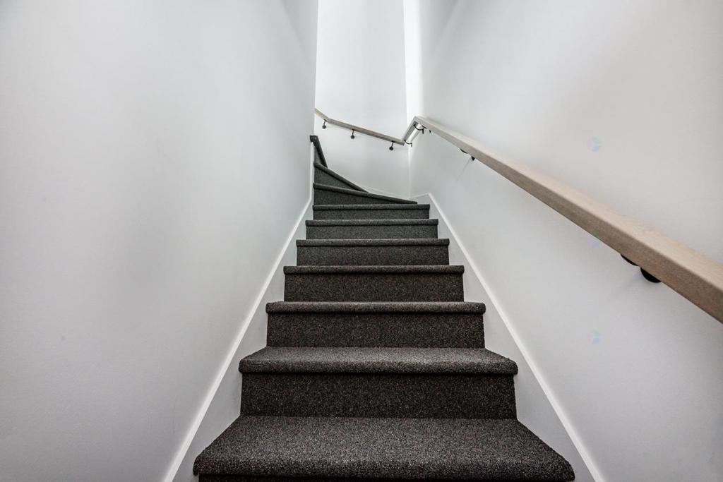 Superbe 4 1/2 à louer, Sainte-Catherine, Libre maintenant ! | 3042367