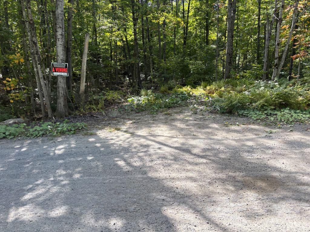 Terrain à vendre à Chertsey | 3042738