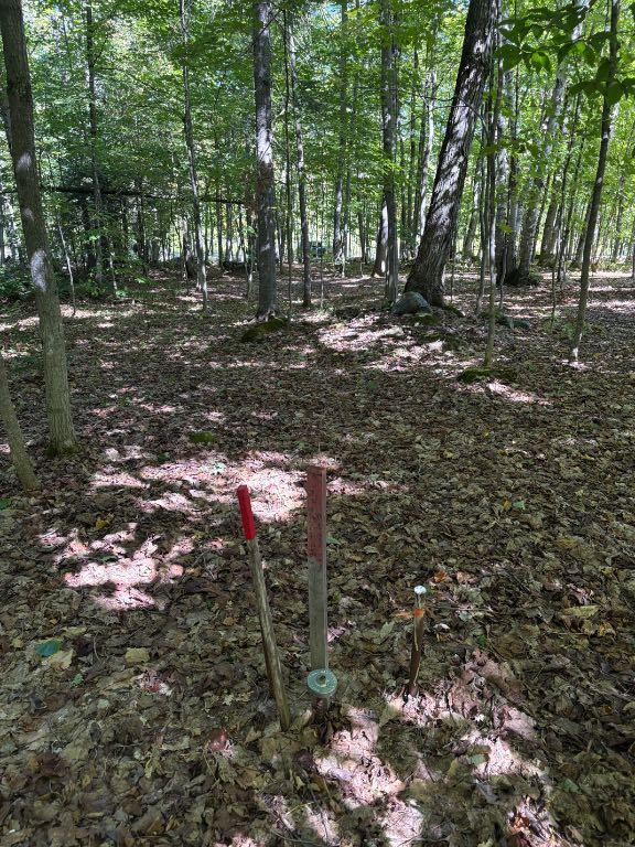 Terrain à vendre à Chertsey | 3042738