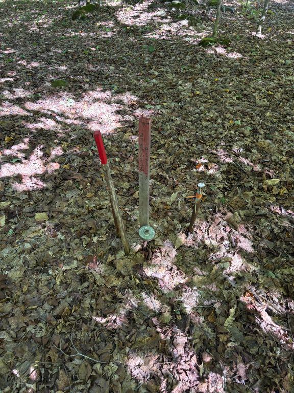 Terrain à vendre à Chertsey | 3042738